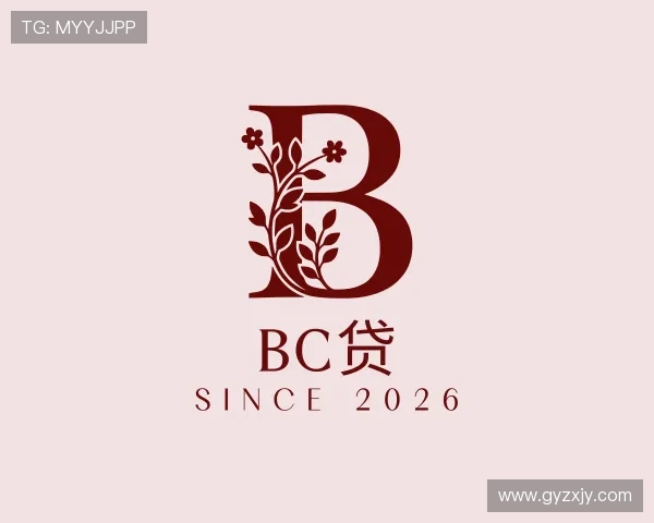 认识bc贷